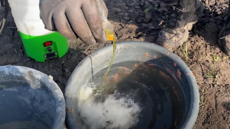 Як підготувати сад восени для забезпечення щедрого врожаю наступного року: корисні поради від досвідчених садівників.